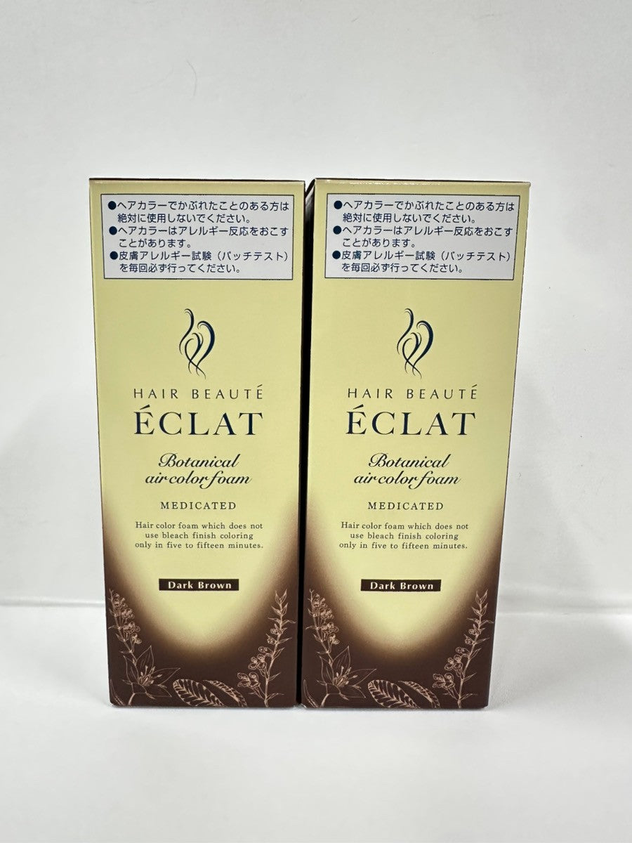 C122 ヘアボーテ エクラ ボタニカル エアカラーフォームEX ダークブラウン 80g 2個セット