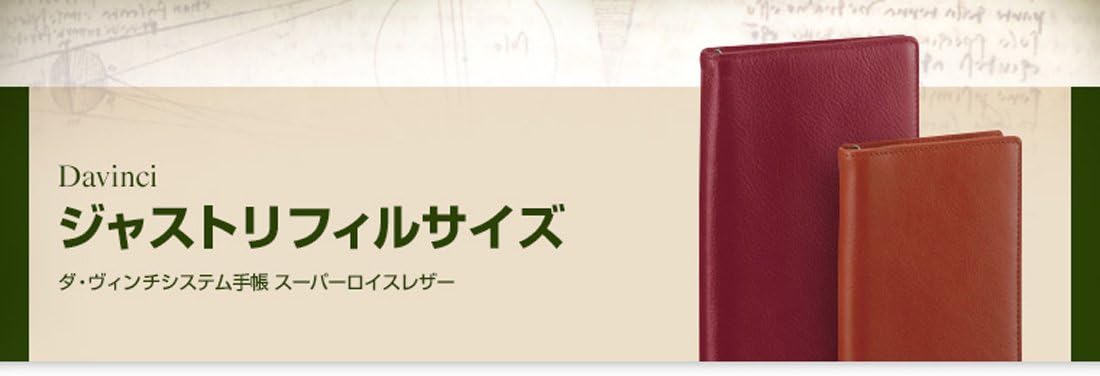 レイメイ藤井 システム手帳 ダヴィンチ ブラック JDB3007B