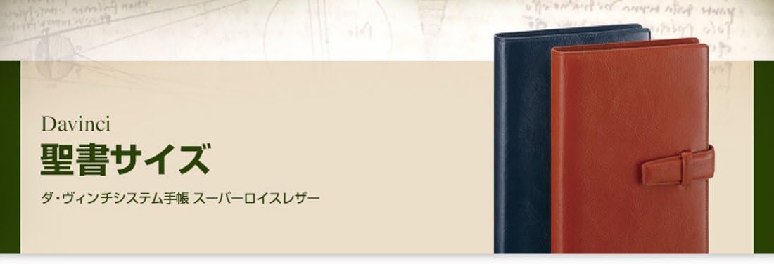 レイメイ藤井 システム手帳 ダヴィンチ 聖書サイズ ブラック DB3006B