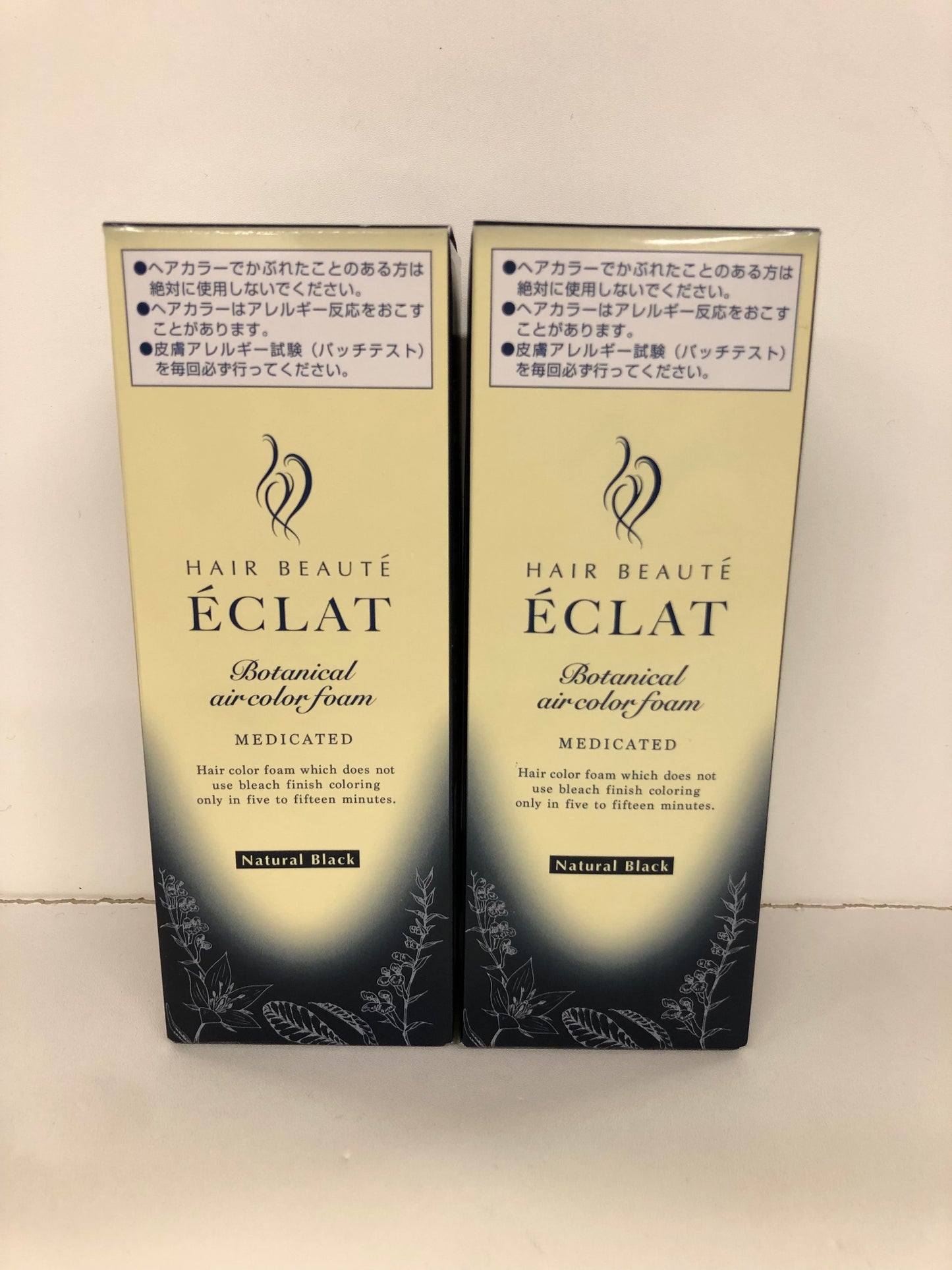 C011 ヘアボーテエクラ ボタニカルエアカラーフォームEX ナチュラルブラック 80g 2個セット