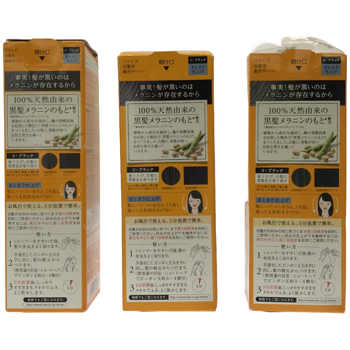 Z000 Rerise リライズ 白髪用髪色サーバーBm リ・ブラック&付け替えボトル3個セット