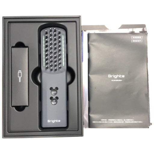 CK22 D Brighte ELEKI BRUSH+ ブライトエレキブラシプラス 美顔器 BRT-FSB180 ミッキーモデル