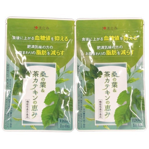 CA85 K 桑の葉&茶カテキンの恵み 120粒 和漢の森 2袋セット(2ヶ月分)●賞味期限:2026/01~
