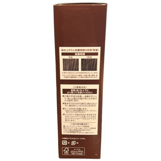 C576 ヘアボーテエクラ ボタニカルエアカラーフォームEX ダークブラウン 150g