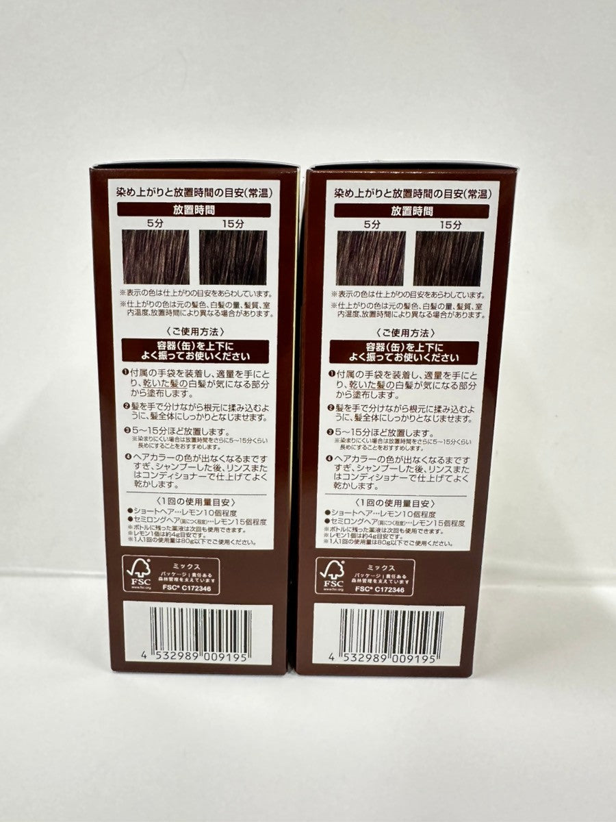 C122 ヘアボーテ エクラ ボタニカル エアカラーフォームEX ダークブラウン 80g 2個セット