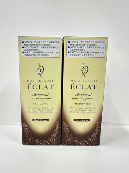 C122 ヘアボーテ　エクラ　ボタニカル　エアカラーフォームEX　ダークブラウン　80g　2個セット