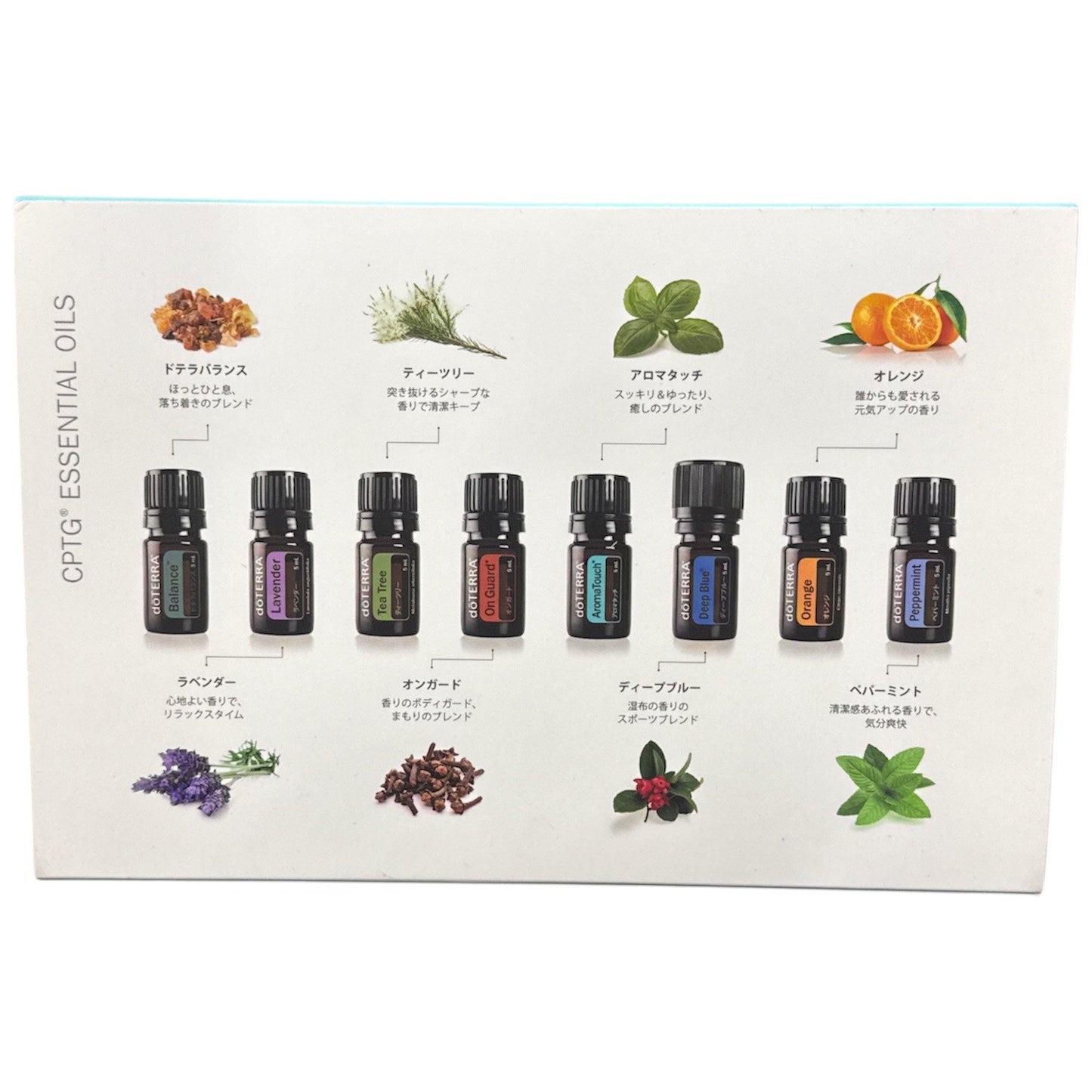 doTERRA ドテラ アロマタッチキット 9種類 テクニックキット