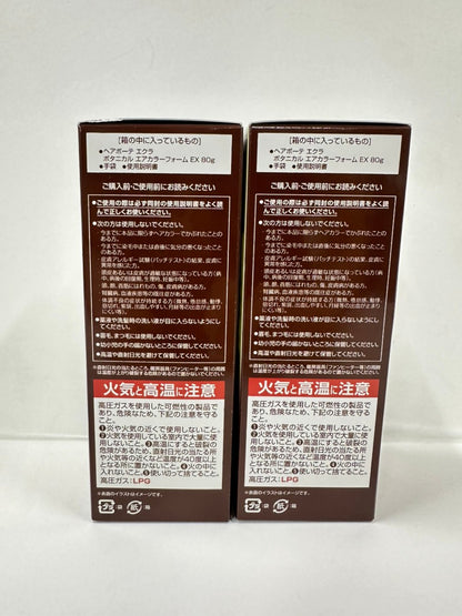 C122 ヘアボーテ　エクラ　ボタニカル　エアカラーフォームEX　ダークブラウン　80g　2個セット