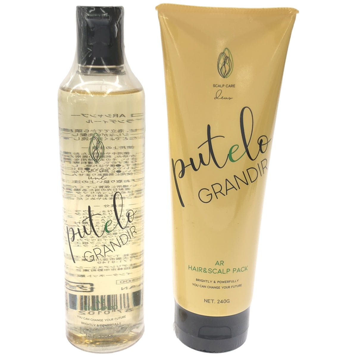 Z000 プテロ ARシャンプー グランディール 300mL & プテロ ARヘア&スカルプパック グランディール 240g 2個セット