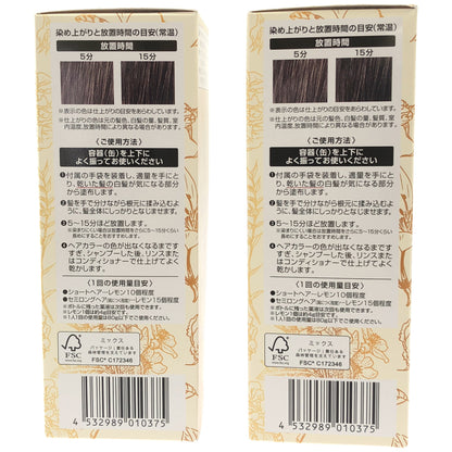 Z000 ヘアボーテ エクラ ボタニカル エアカラーフォーム EX ダークブラウン 80g 計2本セット　ラスト1点！