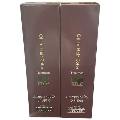 C09U ソワニティー　ヘアカラートリートメント　ダークブラウン　210g 2個セット