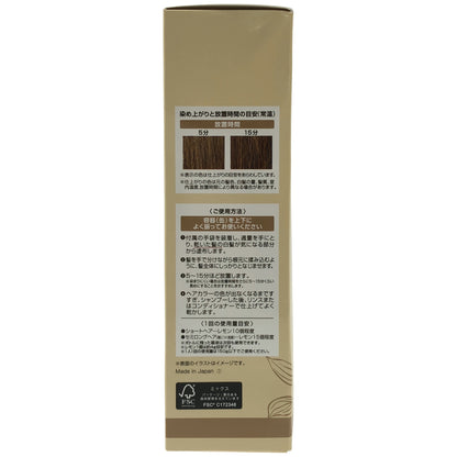 Z000 ヘアボーテ エクラ ボタニカル エアカラーフォーム up ライトブラウン 150g　ラスト1点！