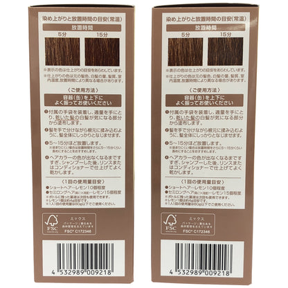 Z000 ヘアボーテ エクラ ボタニカル エアカラーフォーム EX ライトブラウン 80g 計2本セット　ラスト1点！