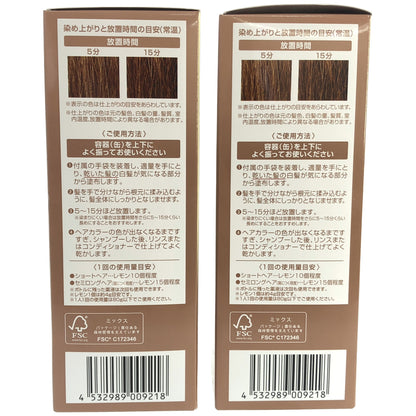 Z000 エアボーテ エクラ ボタニカル エアカラーフォーム EX ライトブラウン 80g 2点セット　ラスト1点！