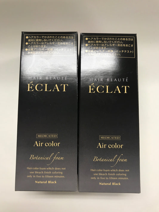 C292 ヘアボーテエクラ　ボタニカルエアカラーフォーム　ナチュラルブラック　泡カラー 白髪染め 泡 ヘアカラー 毛染め 80g　2個セット