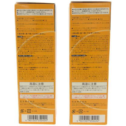 Z000 リライズ 白髪用髪色サーバー Bf ブラック つめかえ用 190g 2本セット　ラスト1点！