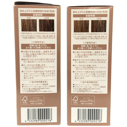 Z000 ヘアボーテ エクラ ボタニカル エアカラーフォーム EX ライトブラウン 80g 2点セット　ラスト1点！