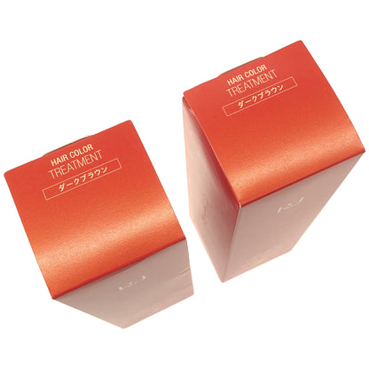 Z000 RJ ヘアカラートリートメント a ダークブラウン 210g 2本セット　ラスト1点！