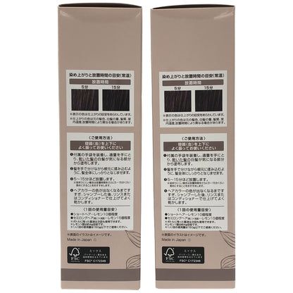 Z000 ヘアボーテ エクラ ボタニカルエアカラーフォーム ダークブラウン 150g 計2個セット　ラスト1点！