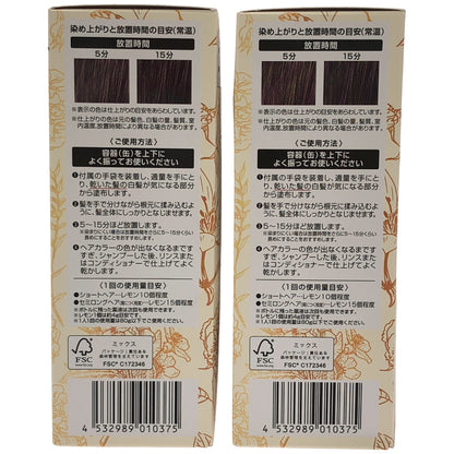 Z000 ヘアボーテ エクラ ボタニカル エアカラーフォーム EX ダークブラウン 80g 計2本セット　ラスト1点！