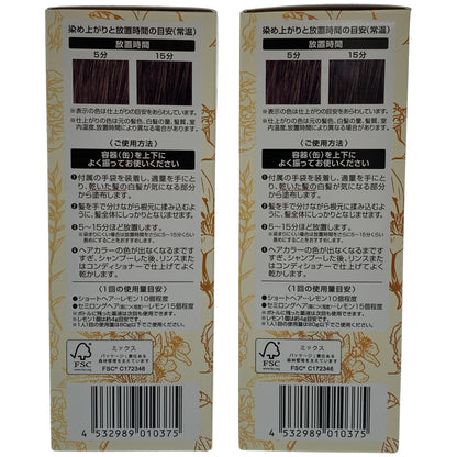 Z000 ヘアボーテ エクラ ボタニカル エアカラーフォーム EX ダークブラウン 80g 計2本セット　ラスト1点！